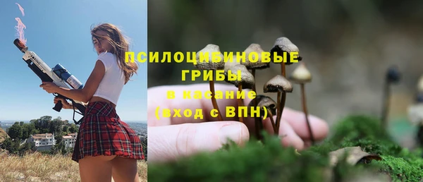 ГАЛЛЮЦИНОГЕННЫЕ ГРИБЫ Володарск
