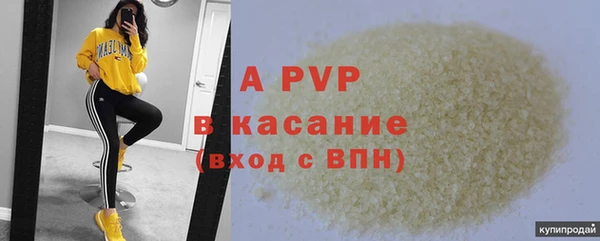 PSILOCYBIN Вязьма