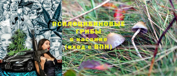 PSILOCYBIN Вязьма
